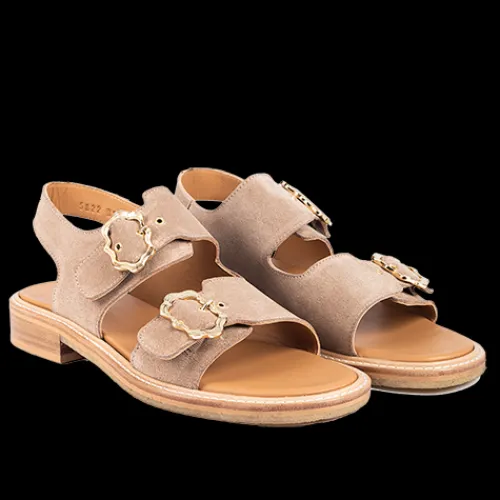 Angulus sandal^Dame Udsalg|Sandaler